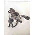 Turbina FIAT Panda 3° Serie del 2012