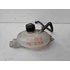 Vaschetta liquido radiatore RENAULT Master 4° Serie del 2010