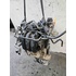 Motore SEAT Ibiza Serie (02>05) del 2002 - 2005