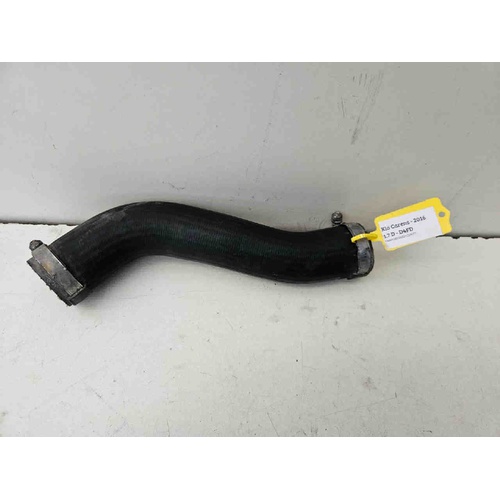 Tubo Intercooler KIA Carens Serie (13>18) del 2013 - 2018