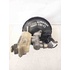 Servofreno SEAT Alhambra 2° Serie del 2000 - 2009