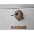 Vaschetta liquido radiatore FIAT Stilo Berlina 5P del 2001 - 2010