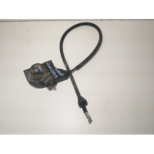 Acceleratore  Renault Scenic 1.9 Diesel 2000