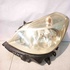 Faro Anteriore Sinistro RENAULT Clio Serie (04>08) del 2004 - 2008